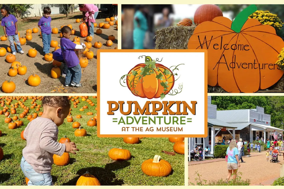 Mississippi Agriculture and Forestry Museum — wedding venue in Mississippi