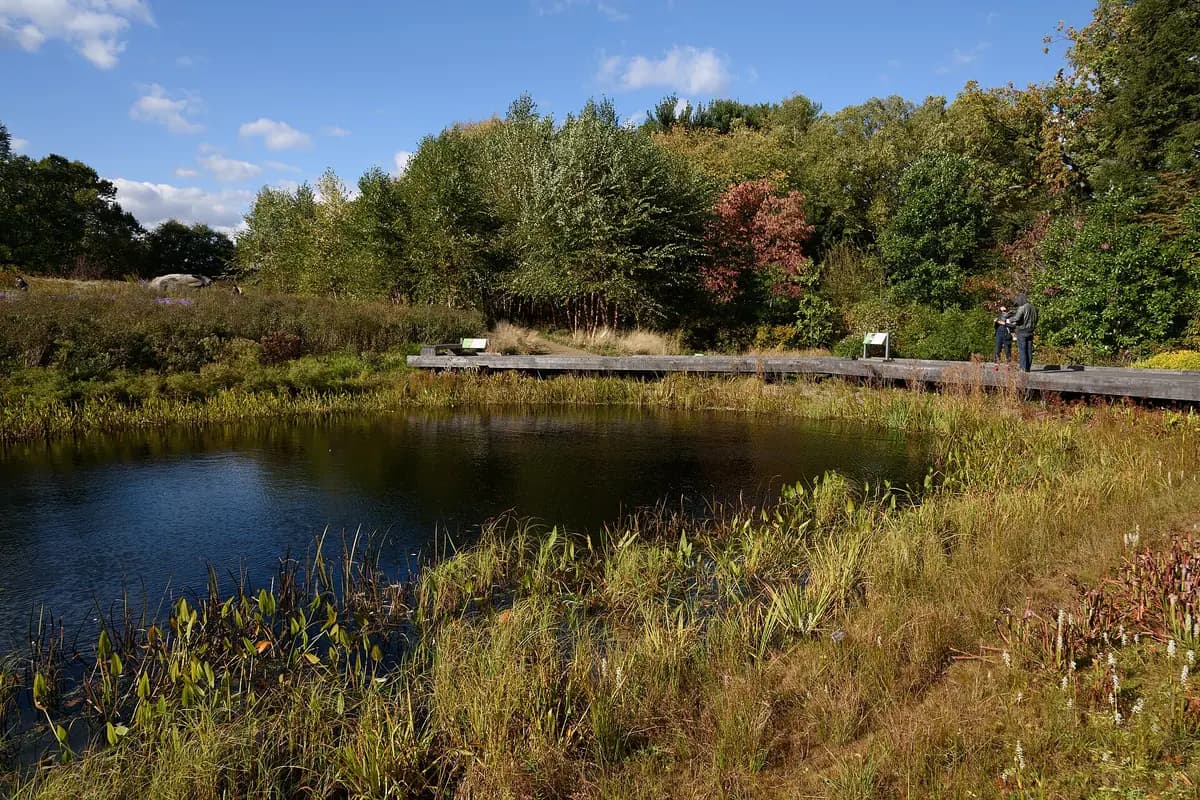 New York Botanical Garden — wedding venue in New York City, New York